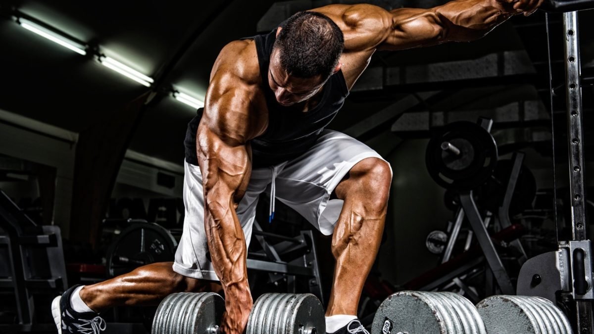 Top Features to Look Out for in an Online Steroid Store