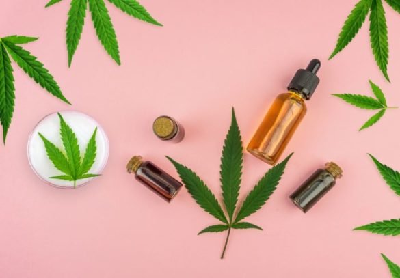 How to Choose the Right CBD Oil