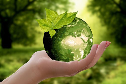 Environmental Sustainability